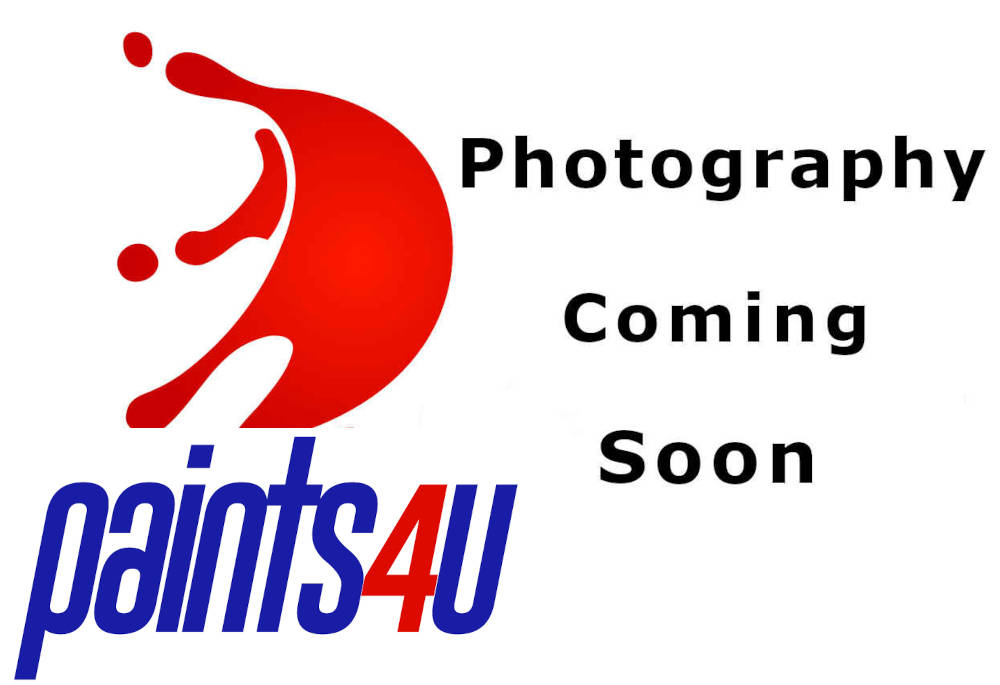 paints4u-com-products-in-category-car-paint-spray